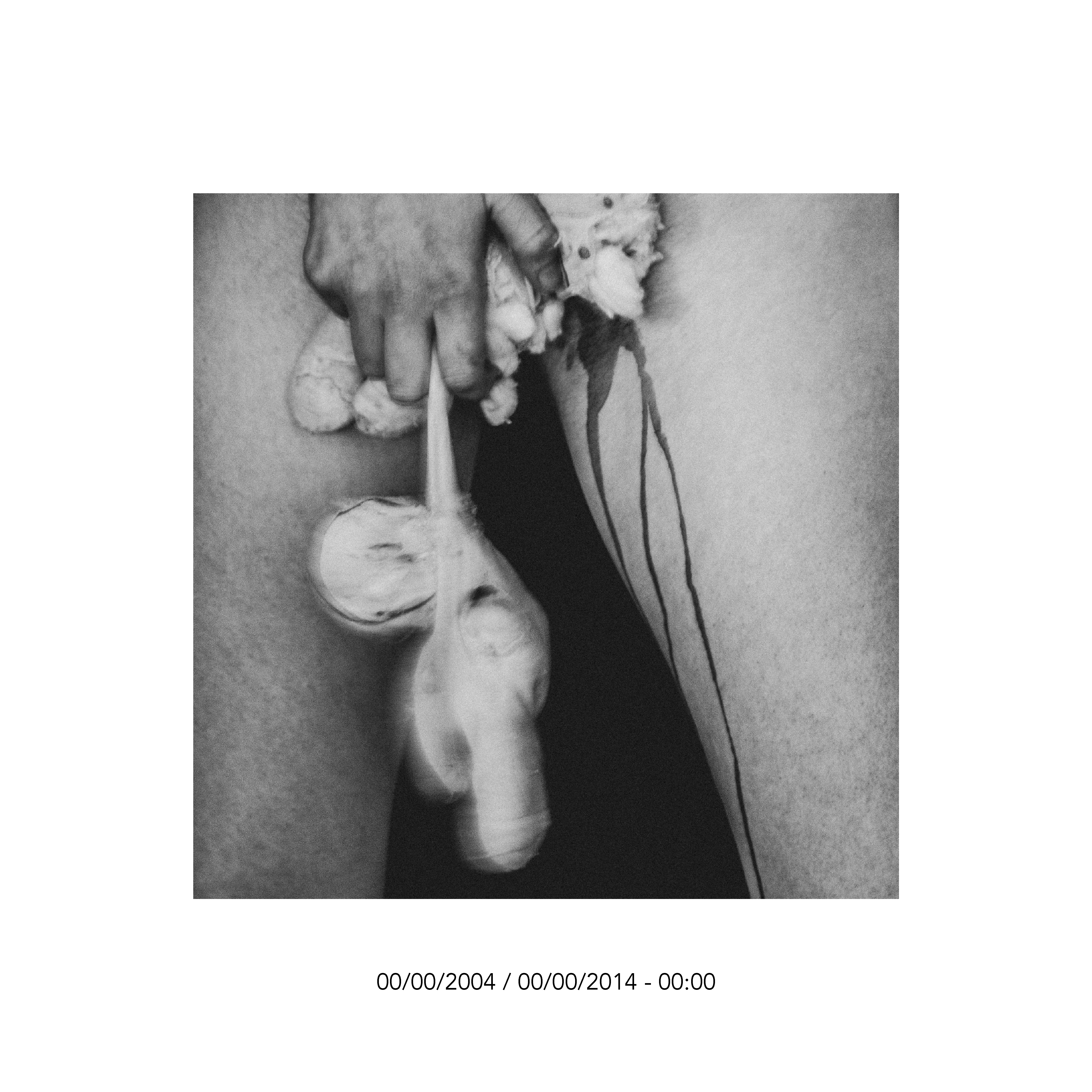 2004:00:00:2014:00:00